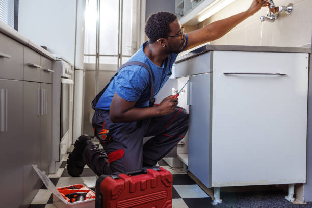 Best Septic Systems  in Edgerton, MN
